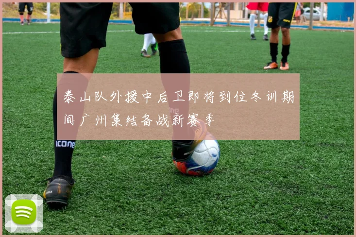 泰山队外援中后卫即将到位冬训期间广州集结备战新赛季