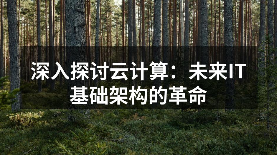 深入探讨云计算：未来IT基础架构的革命